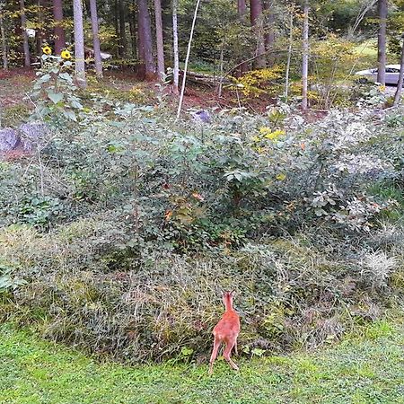 Apartament Haus Homberg Berchtesgaden Zewnętrze zdjęcie